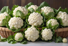 خواص گل کلم