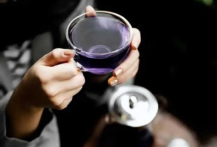 گل گاو زبان