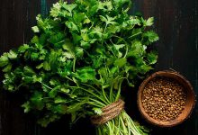 مضرات گشنیز برای زنان و مردان و حقایق جالب